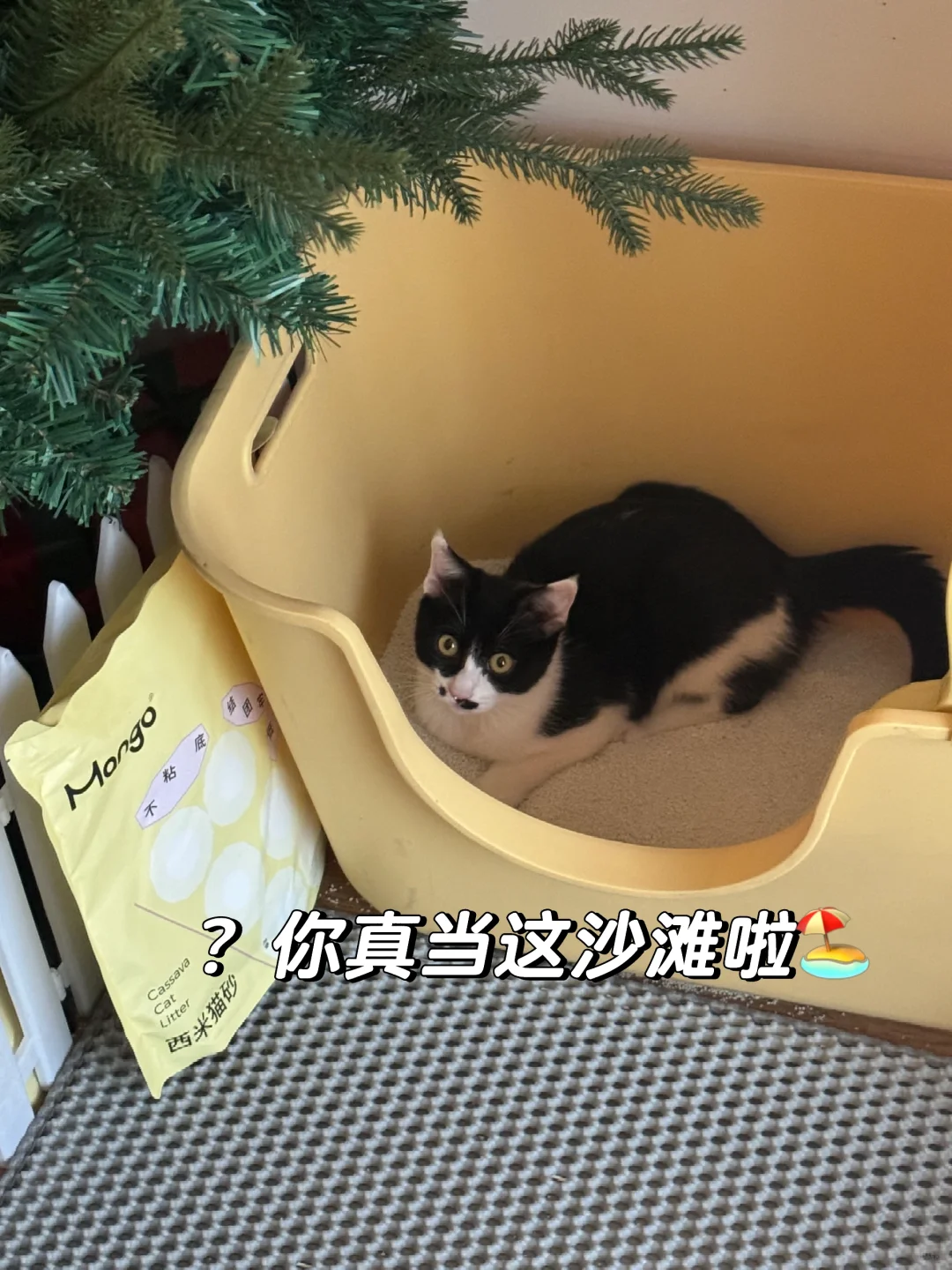 看来只要心中有海，哪里都是马尔代夫呀……