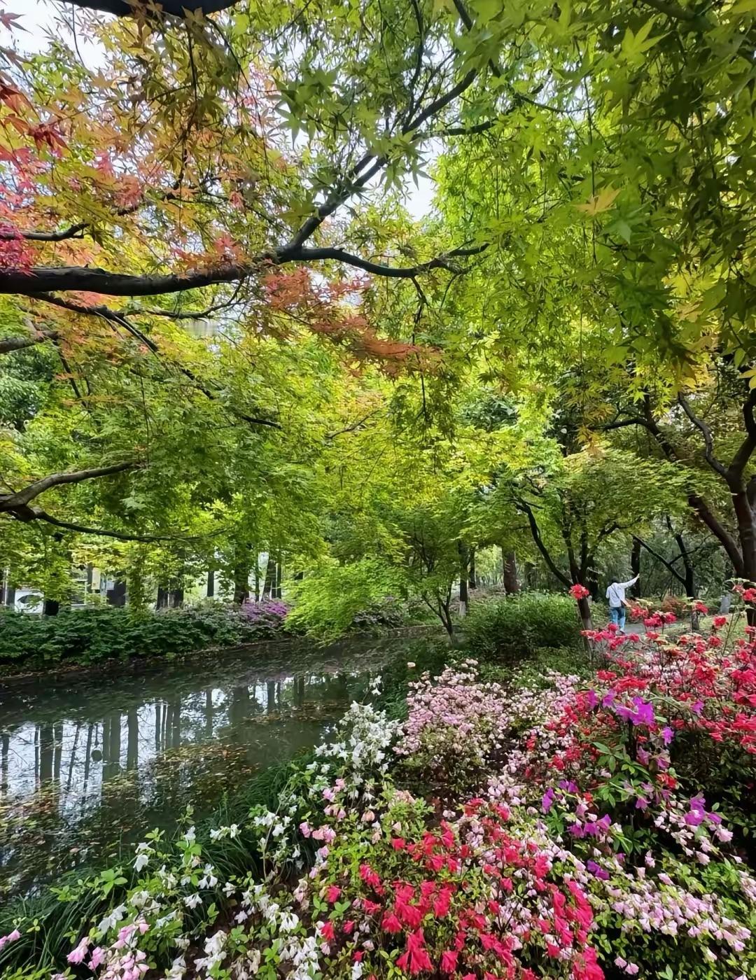 公园里花团锦簇，绿树成荫。