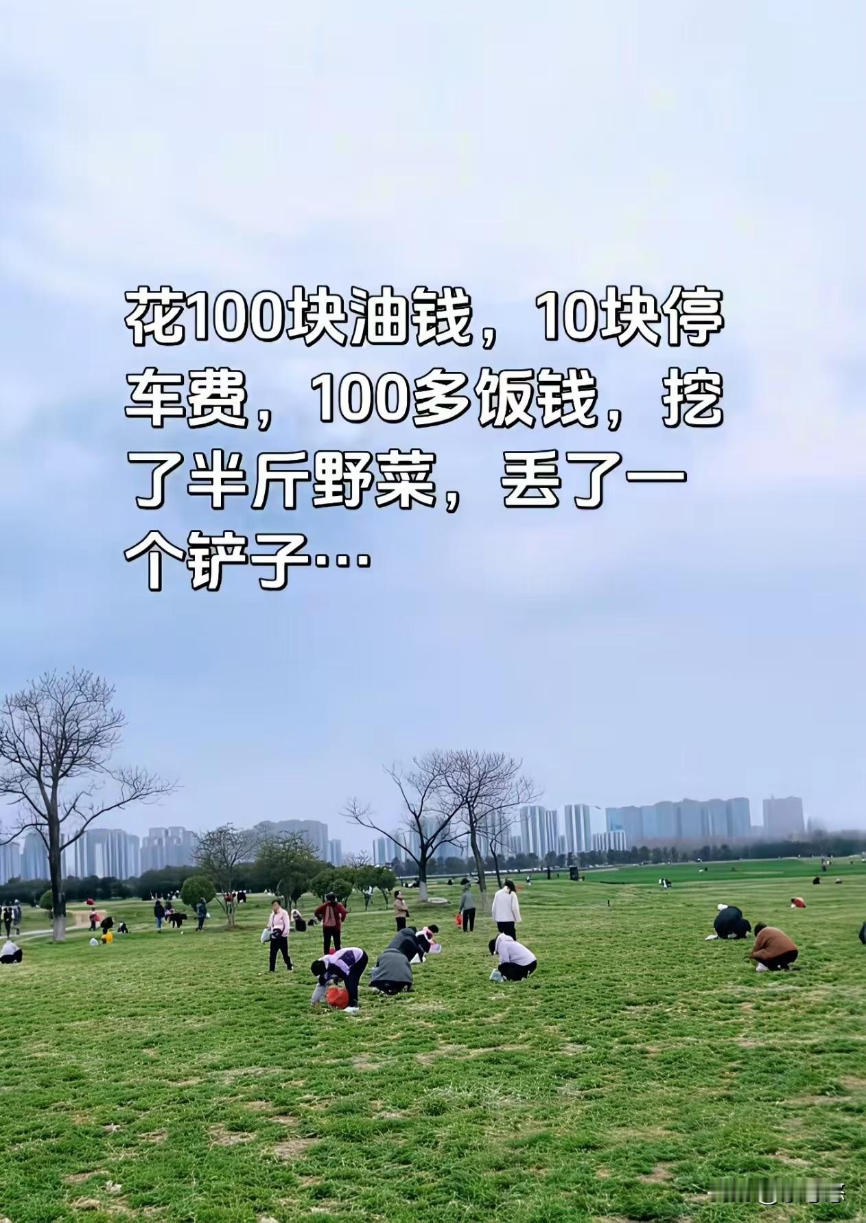 今天花了100块油钱，10块停车费，100多块饭钱，挖了半斤野菜，还丢了个铲子。