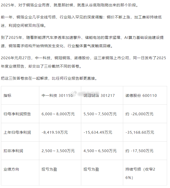 铜箔企业业绩对比 