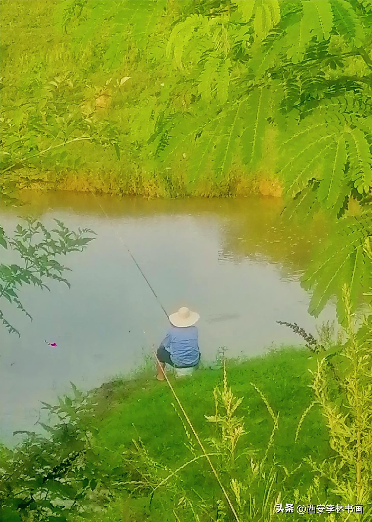 《垂钓（西安李林摄于汉中城固）》