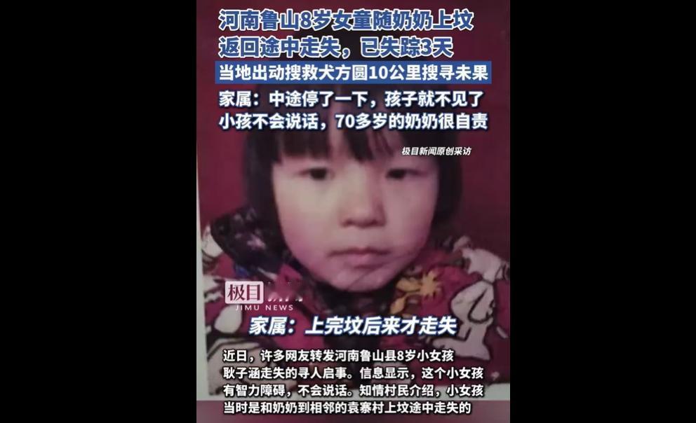 河南鲁山 8 岁女童耿子涵有智力障碍且不会说话，11 月 20 日随奶奶上坟返回