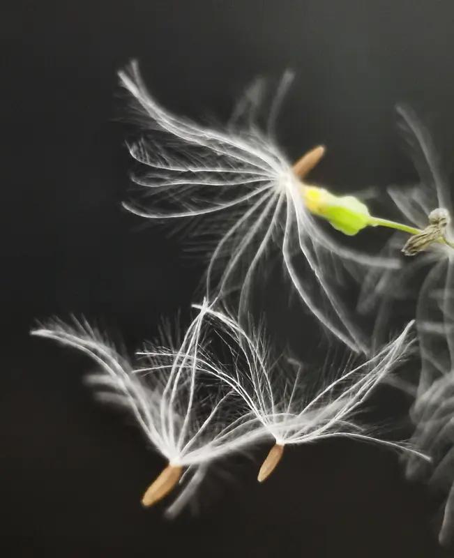 今天穿短袖 下周穿羽绒。下周广州最低气温逼近10℃。下周一（17日），一股强冷空