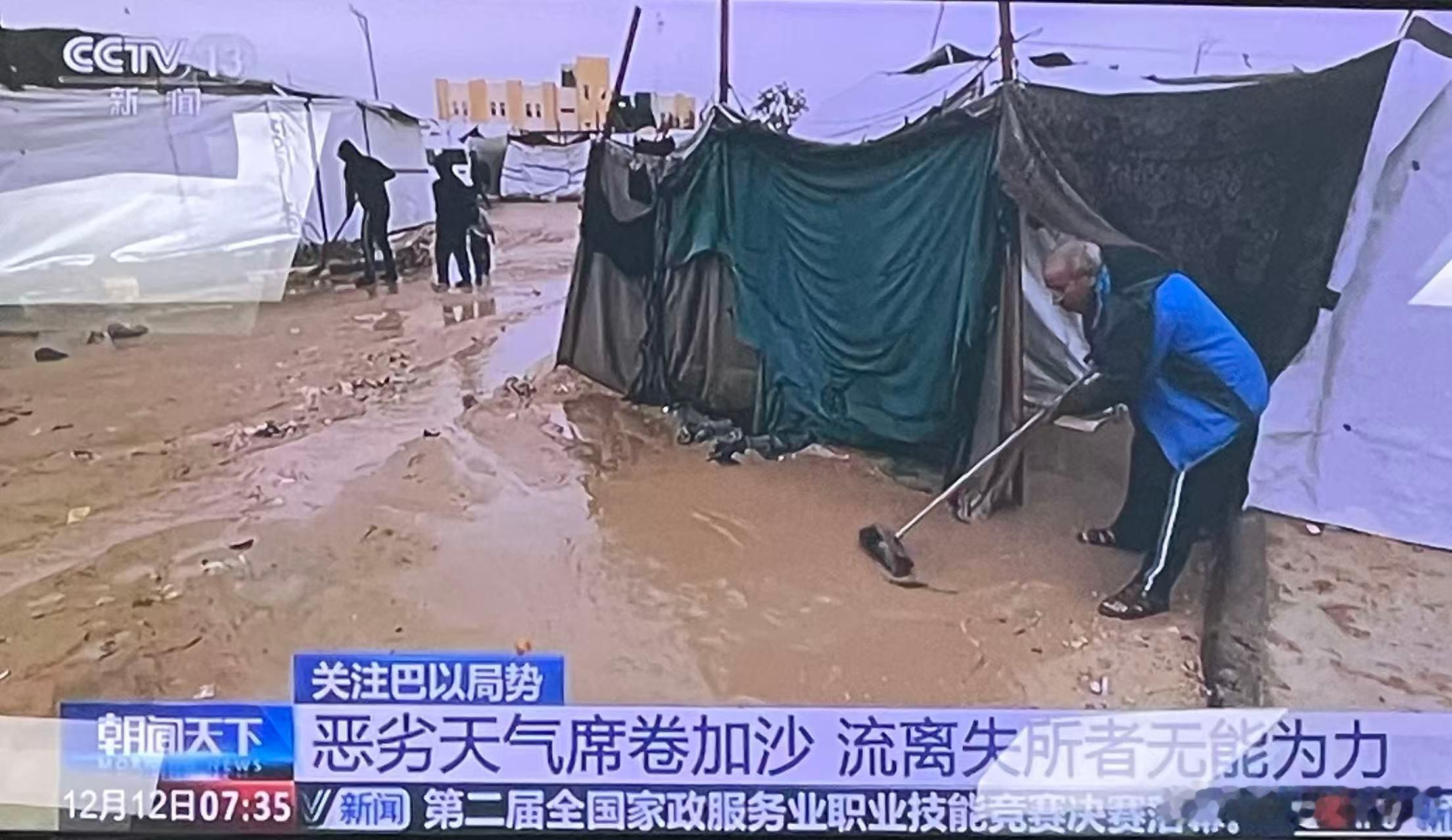 今早看加沙新闻，冬雨里的帐篷、饥饿的孩子、废墟中的哭喊，揪心不已。转头望窗外，早