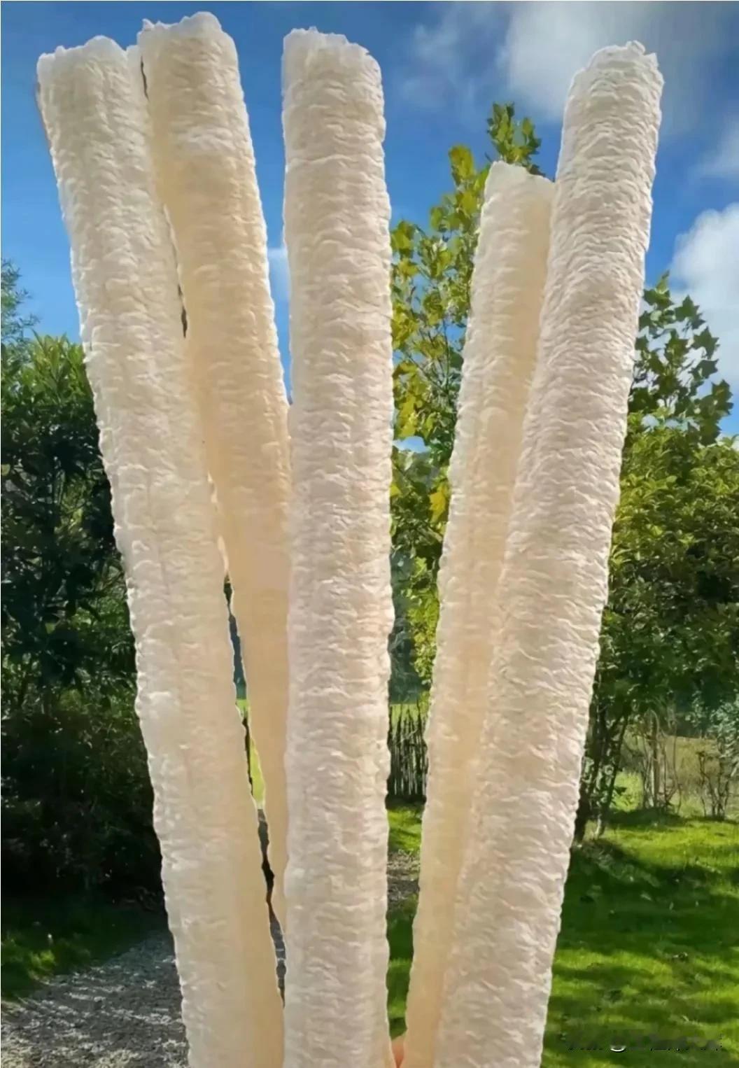 说一说，在你的城市这个叫什么名字。