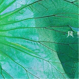 日行一善 💚 阳光信用 善良的人，慈祥和气，人缘好，懂得与人为善，方能做事长远