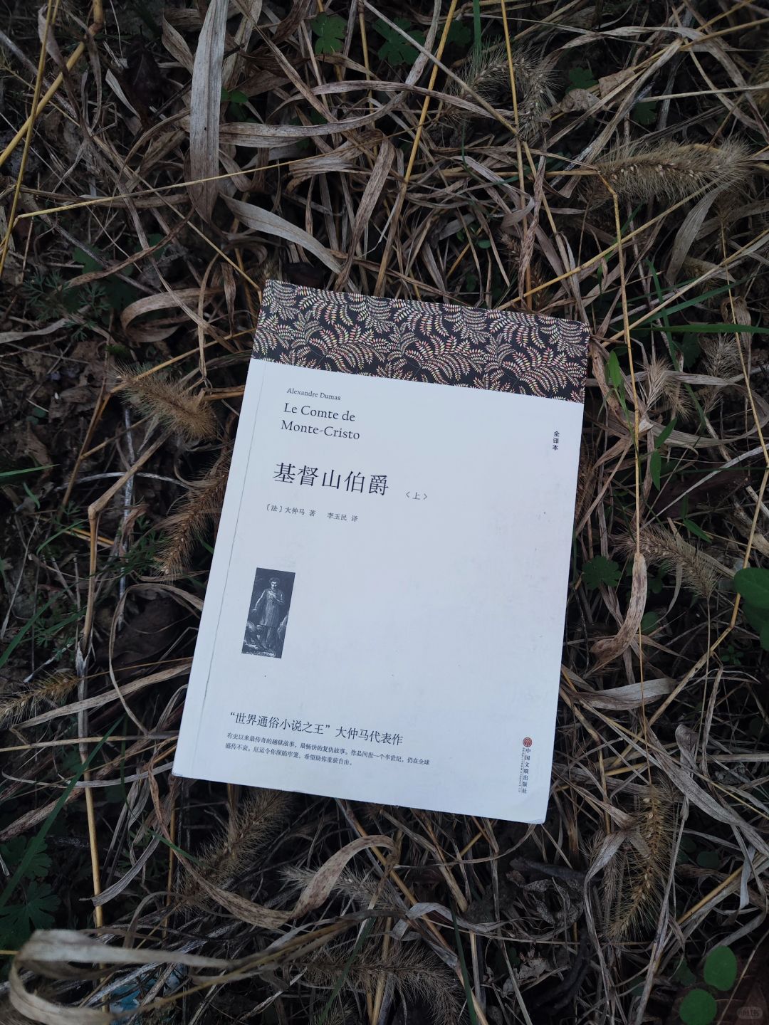 第456本：基督山伯爵唐代斯在中国吃过燕窝