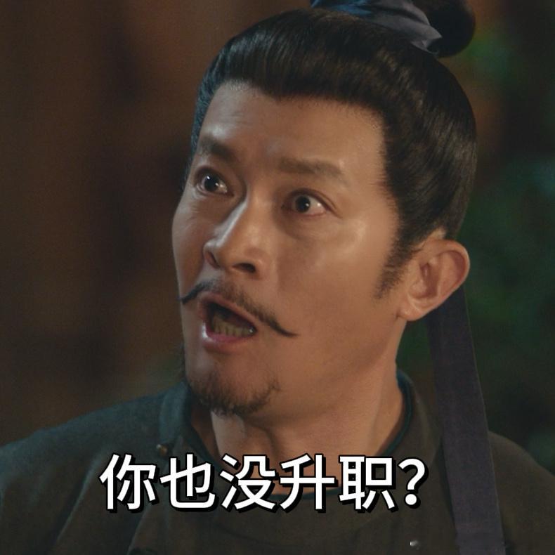 卢凌风苏无名一直换岗从未升职卢凌风苏无名俩位真的是一直在换岗，从未被升职。第一季