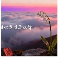 调解书写了违约金条款，对方违约后，违约金能直接强制执行吗？
 
很多当事人都有这