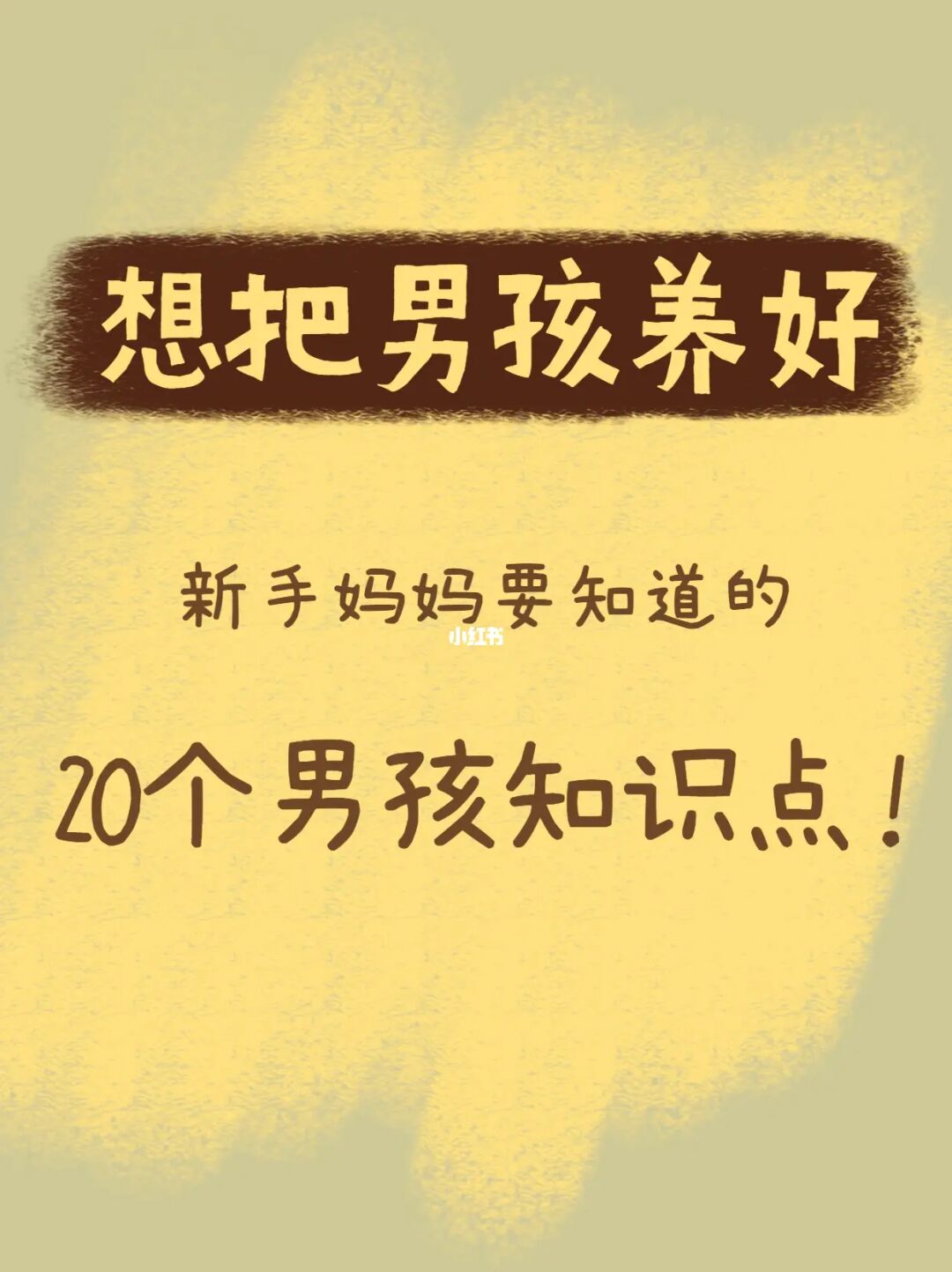 想把男孩养好，妈妈要知道的20个养育知识点！