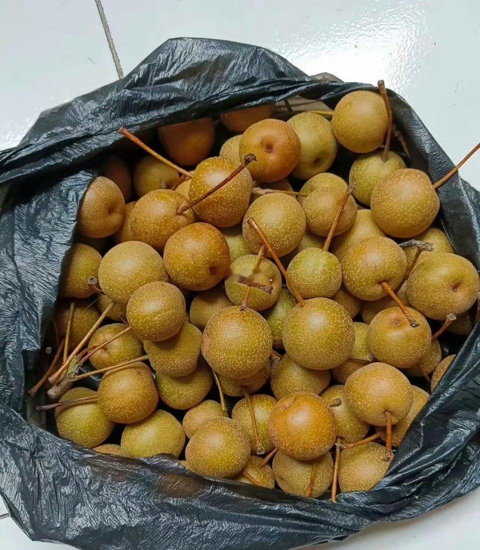 邻居给带来的，说是他们老家的地道特产，这是什么水果？ ​​​