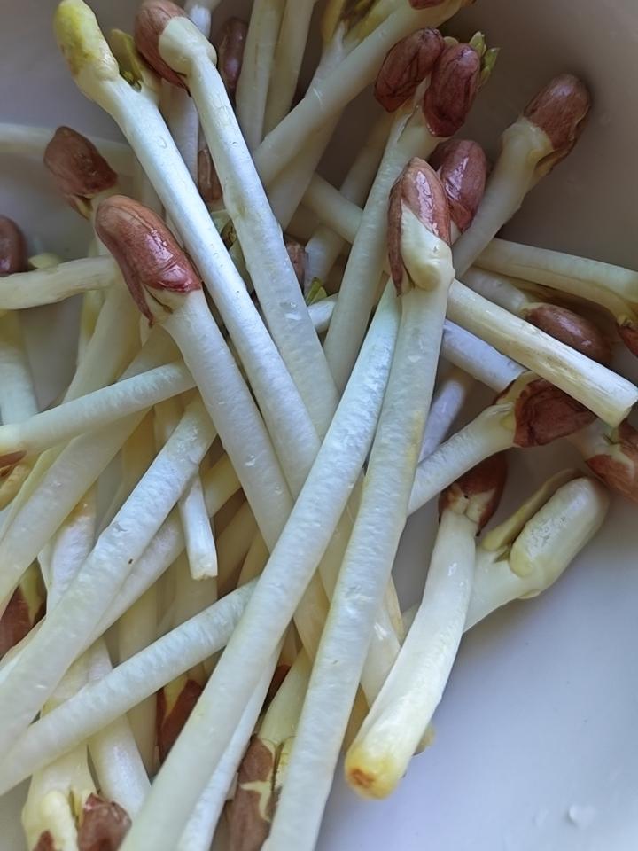 真心话茶局大家知道这种是什么菜吗？家人买回来我都不敢煮，会不会很奇怪？