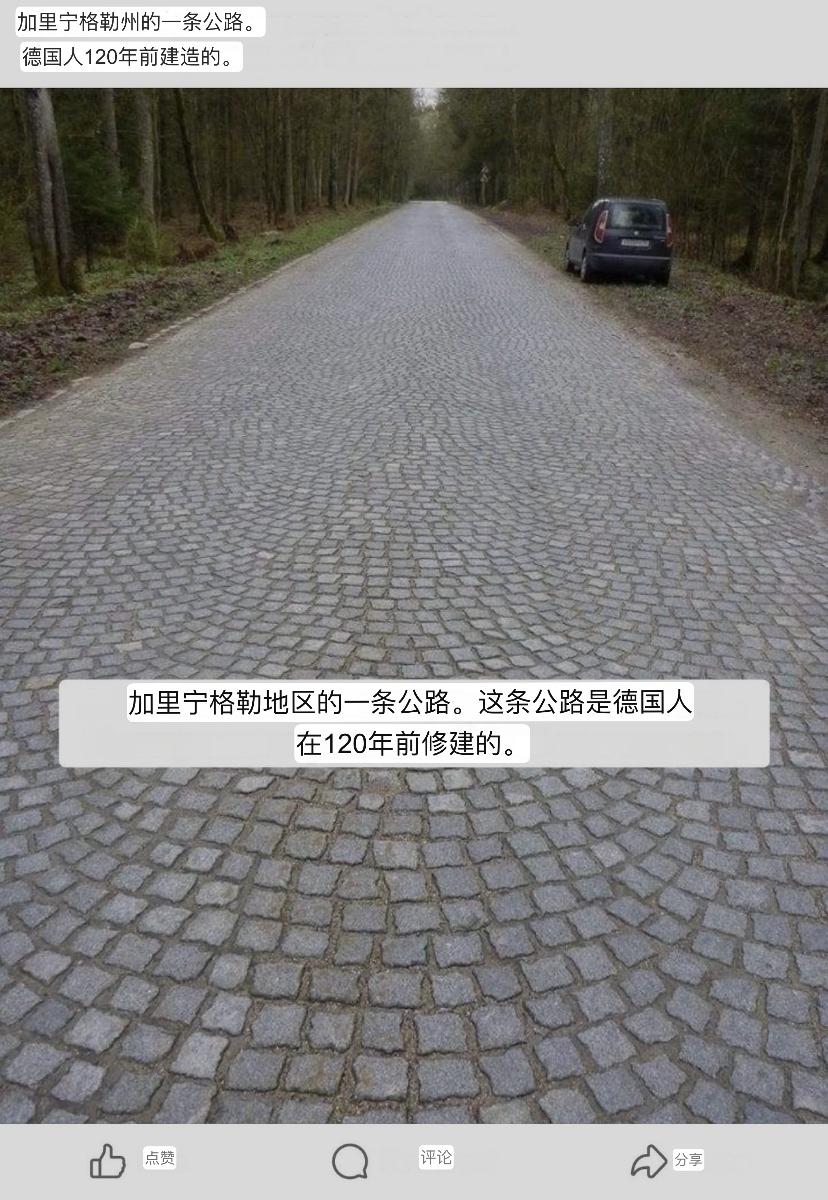 一条路看出两种命运  ——加里宁格勒深林里的德国石道与俄罗斯的“春季坦克试验场”