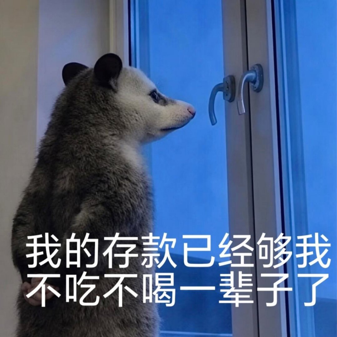 看预告，有点大本营的感觉了