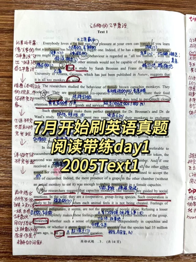 英二88分暑假阅读带练Day1丨2005Text1