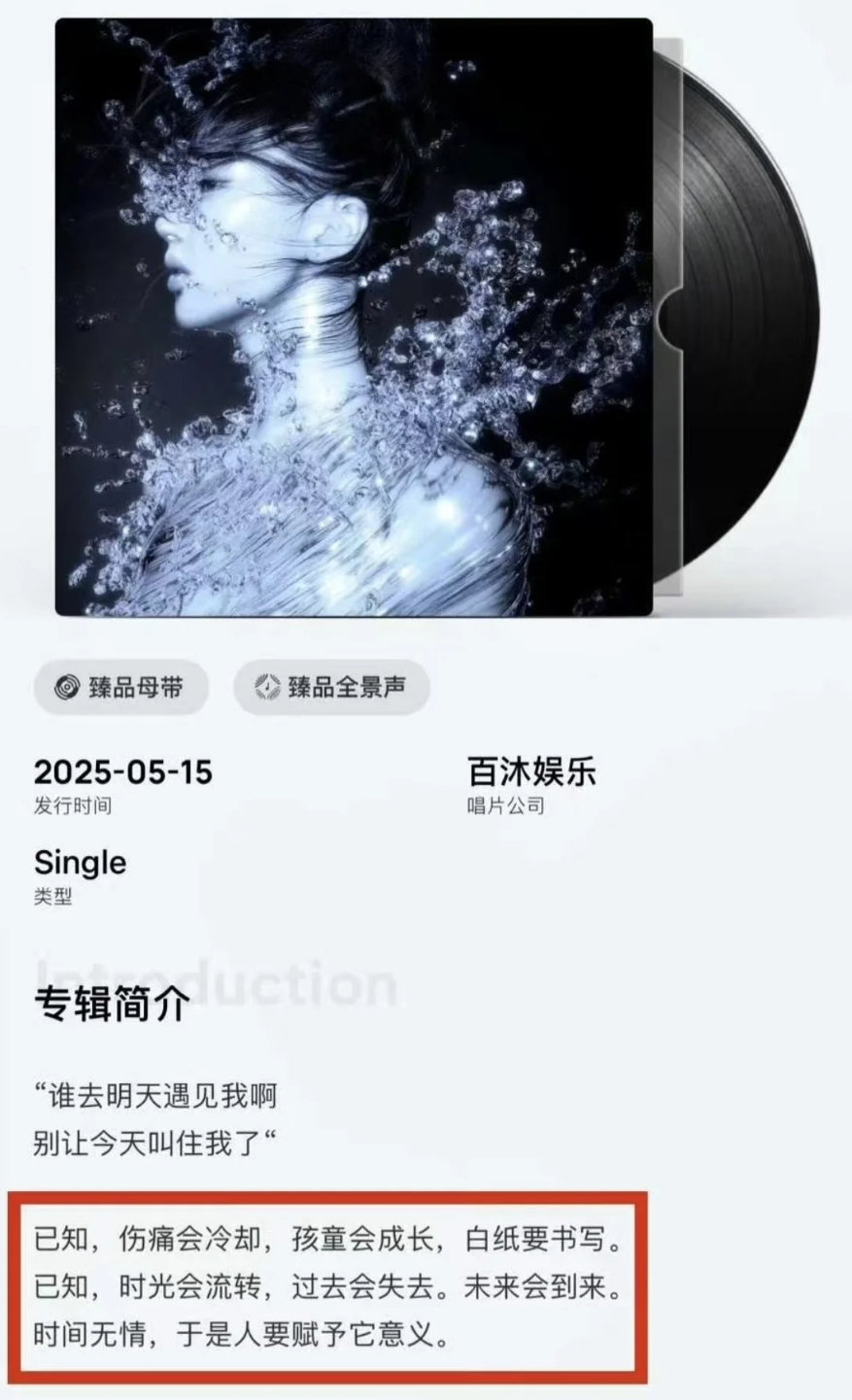 黄霄雲方专辑简介文案说明 这个黄霄云到底什么不抄？就算是团队那也跟她有关系，抄袭