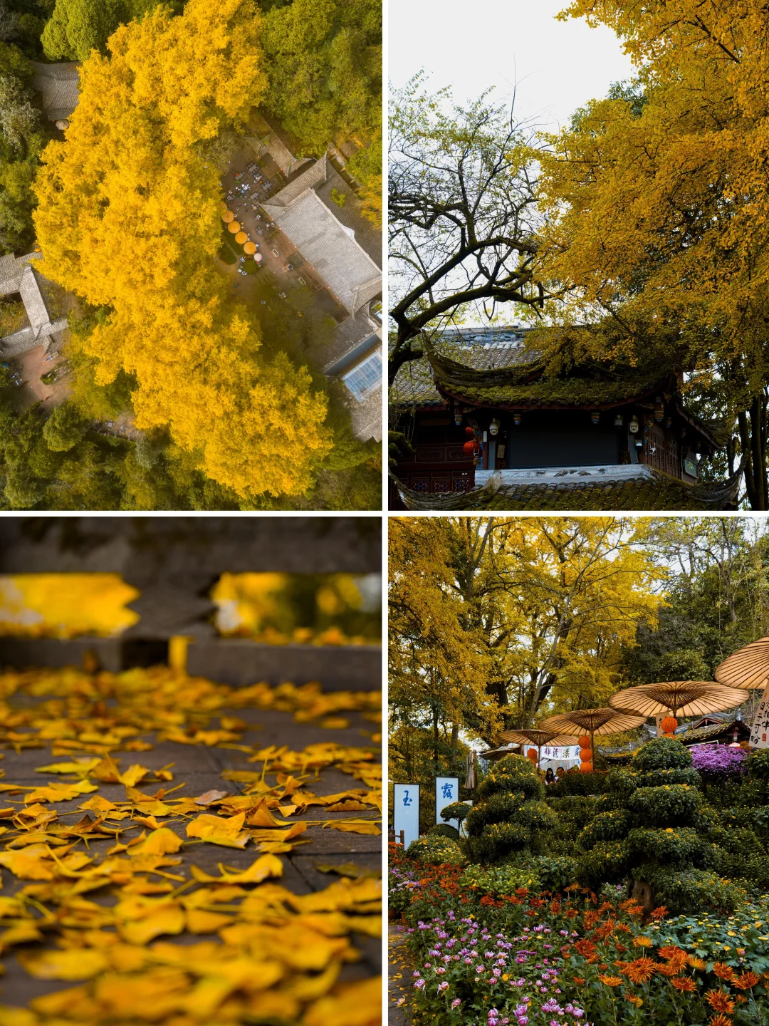 绵阳周边，秋季徒步路线推荐🍂
