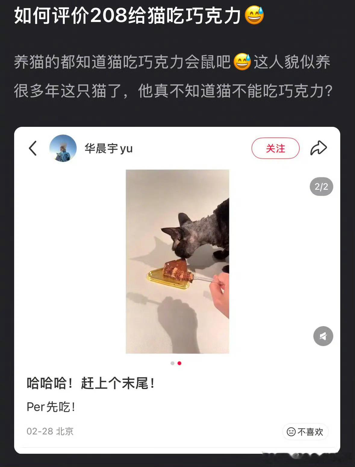 华晨宇喂猫吃巧克力蛋糕华晨宇给猫吃巧克力被质疑华晨宇喂猫吃巧克力蛋糕 