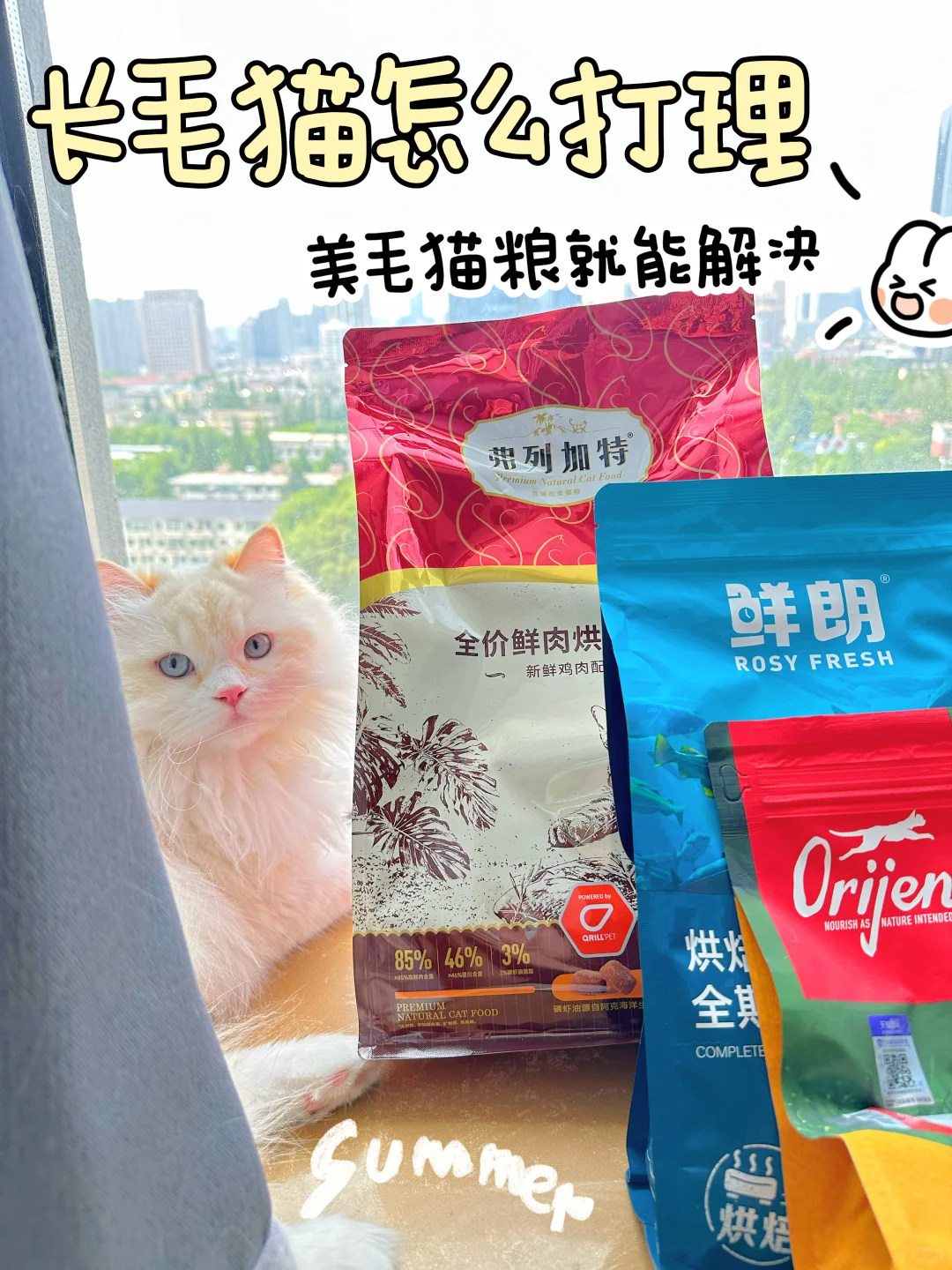 长毛猫怎么打理 美毛猫粮就能解决