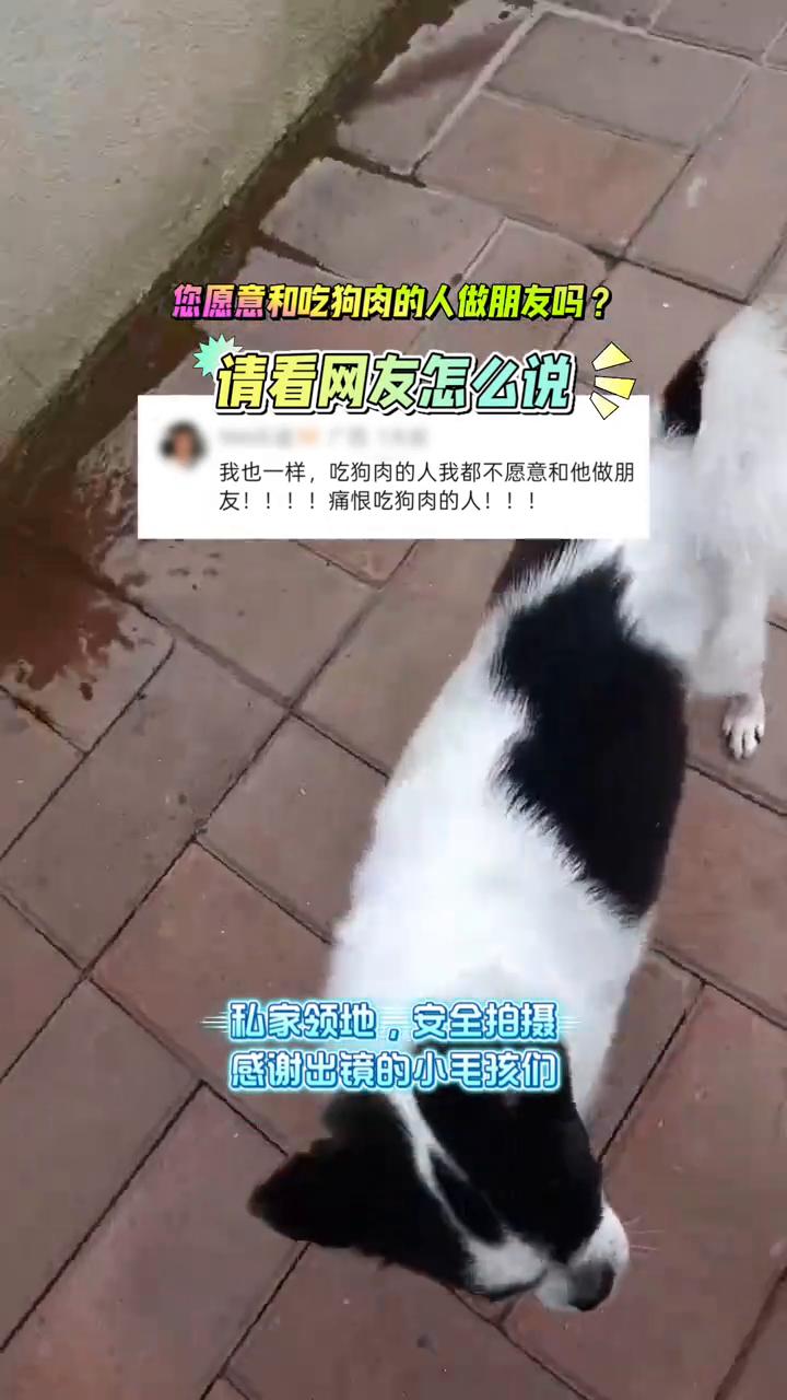 您愿意和吃狗肉的人做朋友吗？请看网友怎么说。
我也一样，吃狗肉的人我都不愿意和他