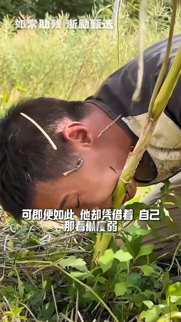 无臂铁人徐富贵。
如常助残浙励甄选。
我长这么大还是第一次看到有人用嘴插秧。在四