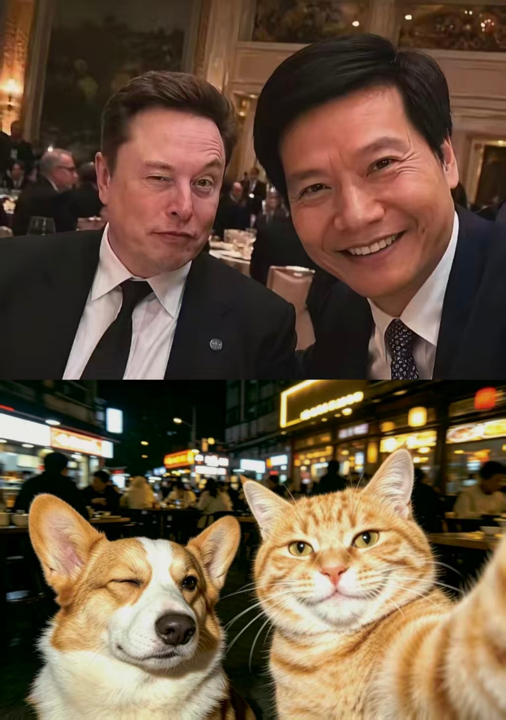 分享图片 