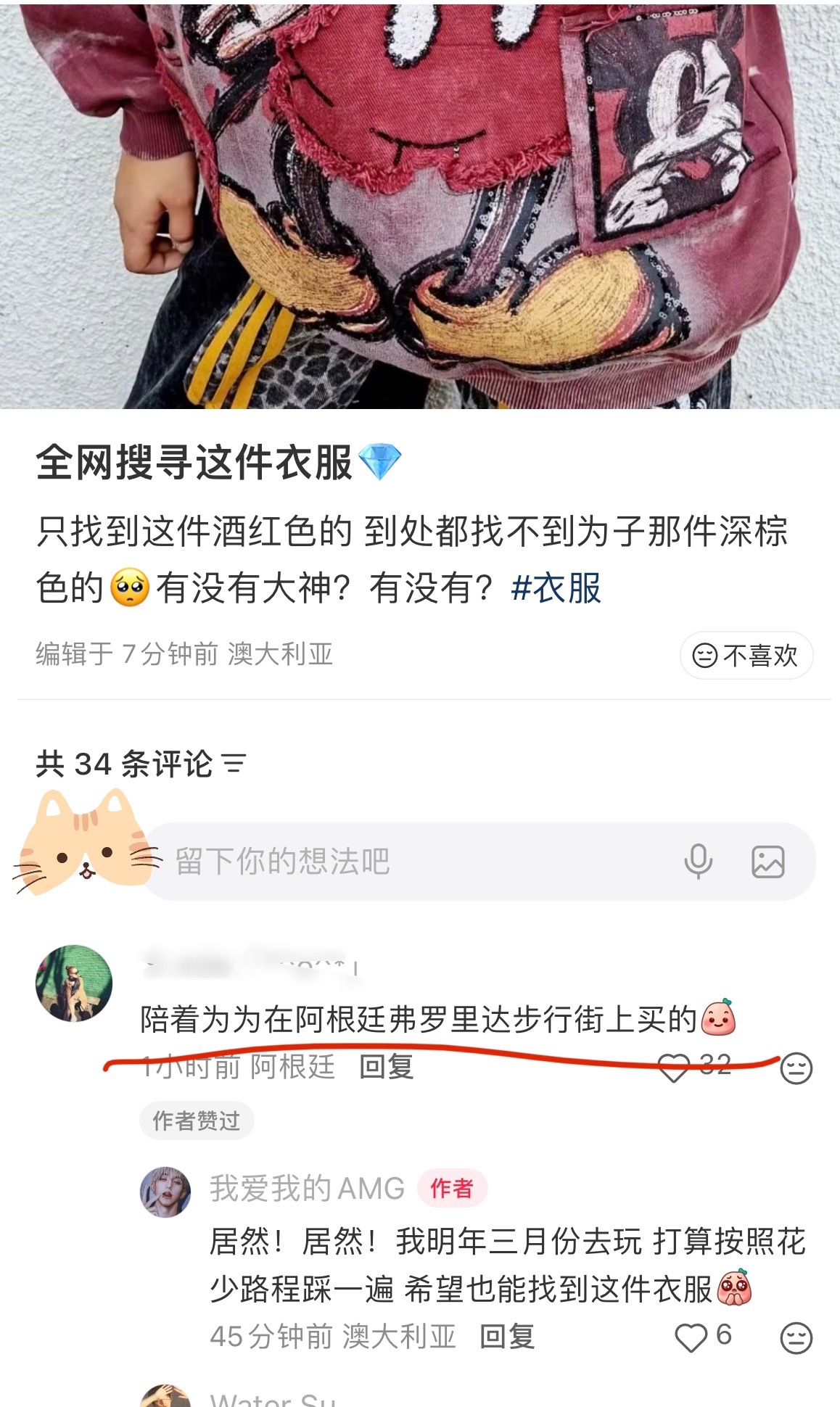 难怪全网穿搭博主都找不到这件衣服，原来是D少在阿根廷逛街买的，米奇➕blingb