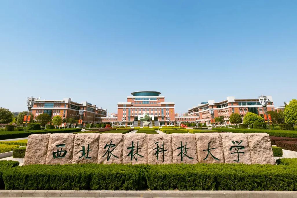 陕西有3所985大学，其中2所位于西安，还有1所位于咸阳市杨凌区。一直以来西北农