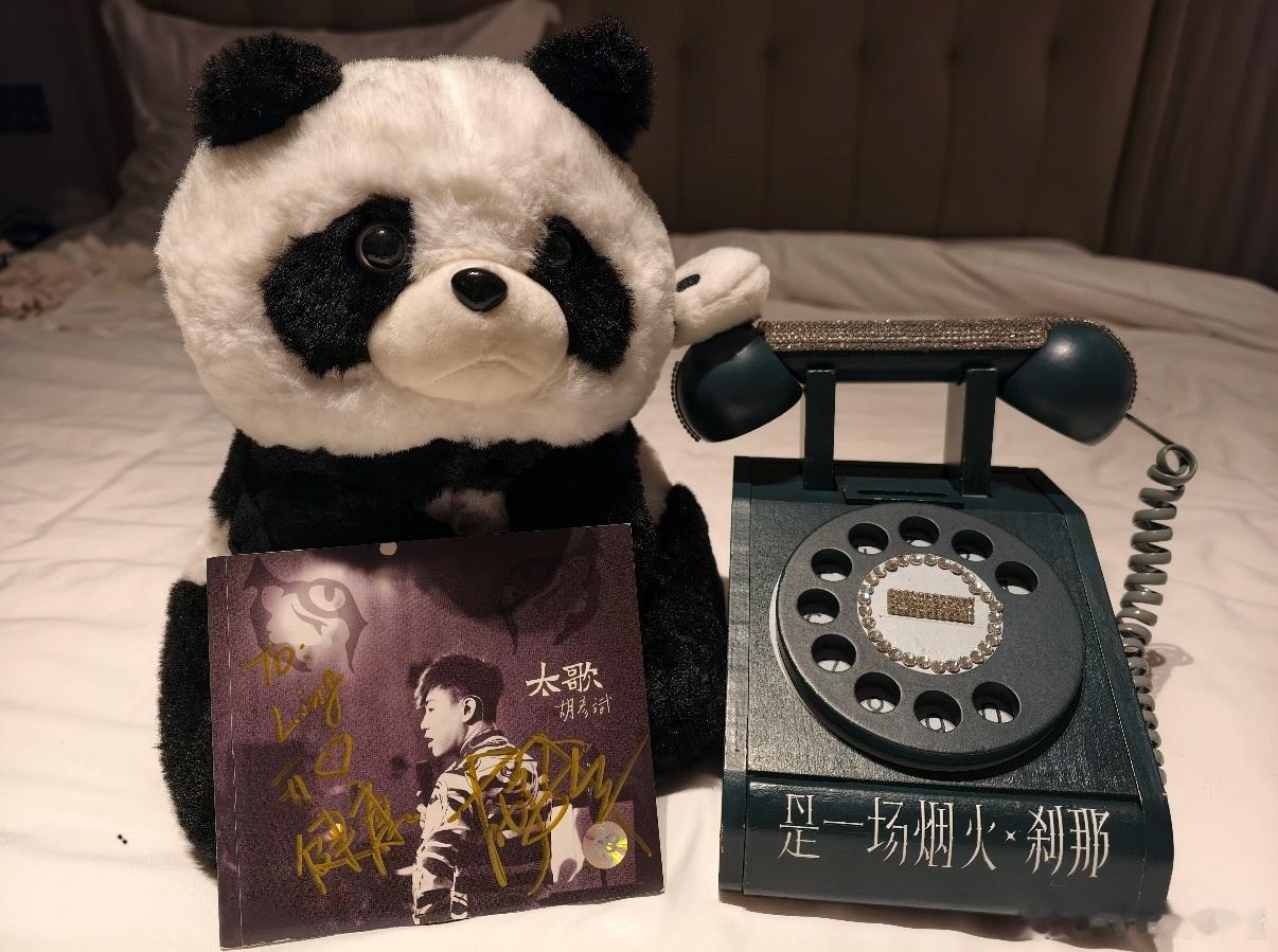 胡彦斌你就宠她吧 胡彦斌在成都也太会了！刚结束《月光》的演唱，粉丝举着十年前的专