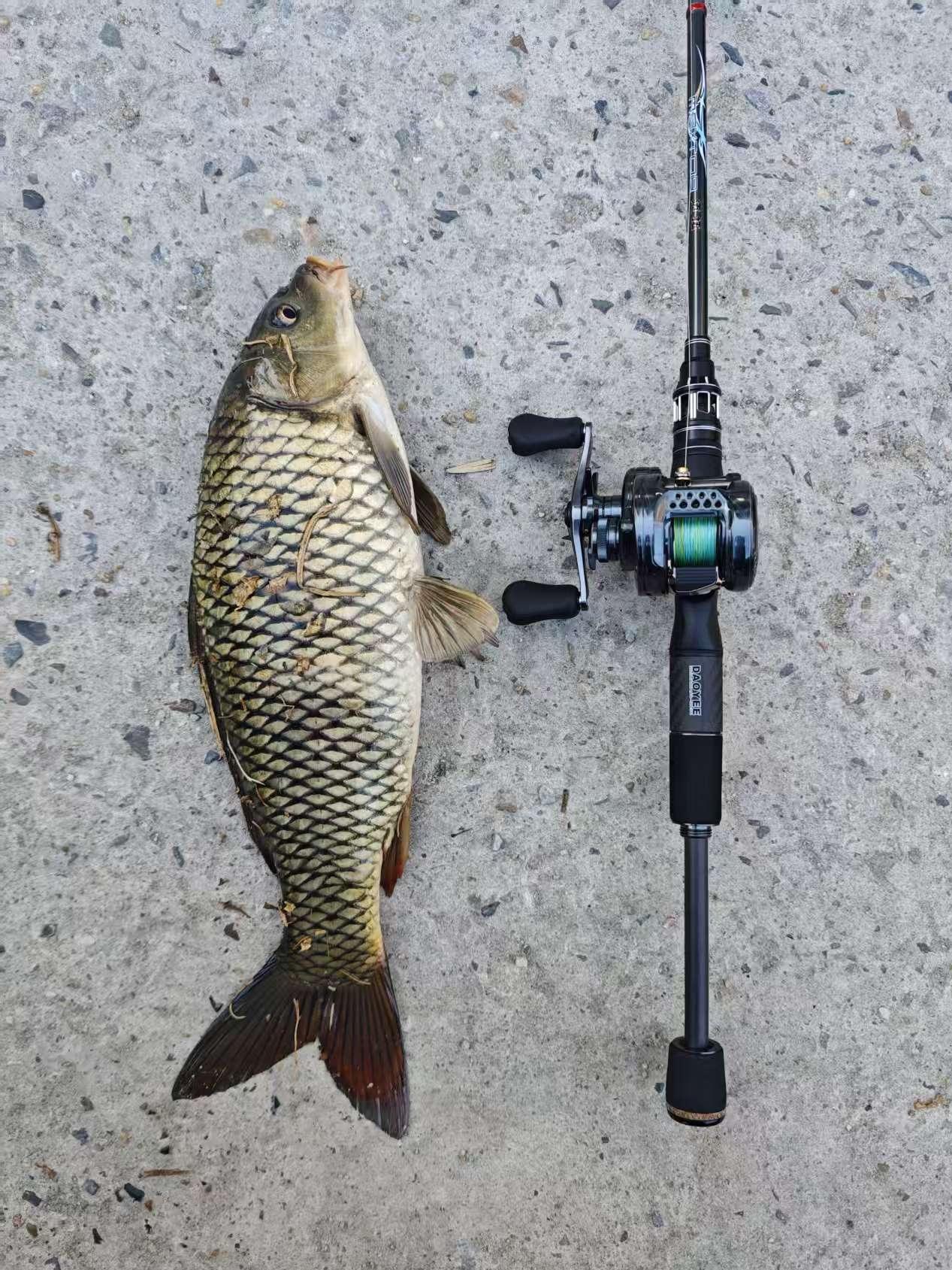 道一新品2.1ML伸缩路亚竿部分反馈。新竿开光的钓友越来越多了，挑了几...