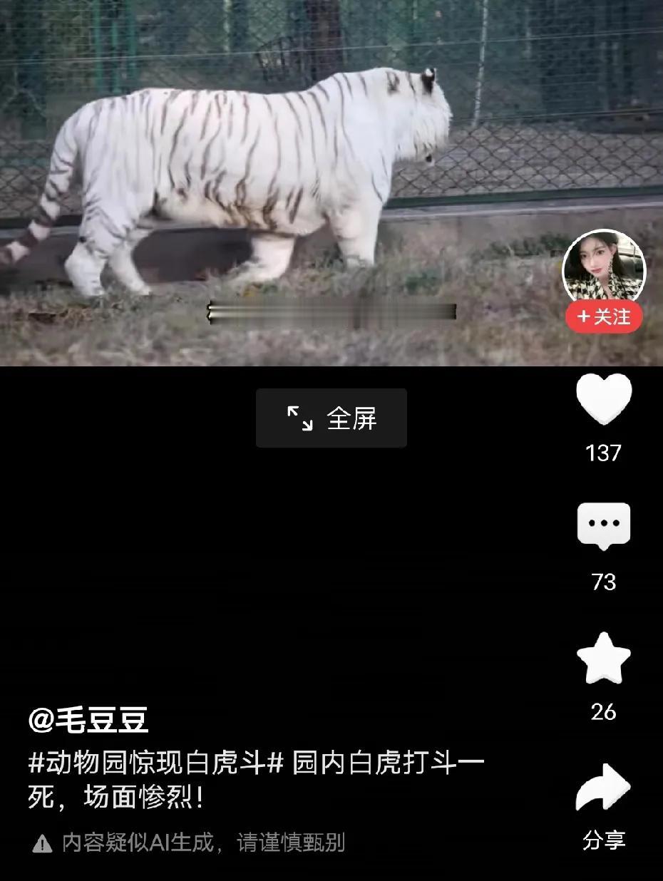 今天总是刷到白虎的故事，到底白虎是怎么没有的，两只老虎打架如何狠毒啊，难道两虎相