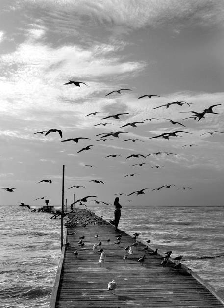 奴隶性很自然地表现为浮夸，正如自由表现为容易冲动，而真正的高尚则表现为质朴无华。