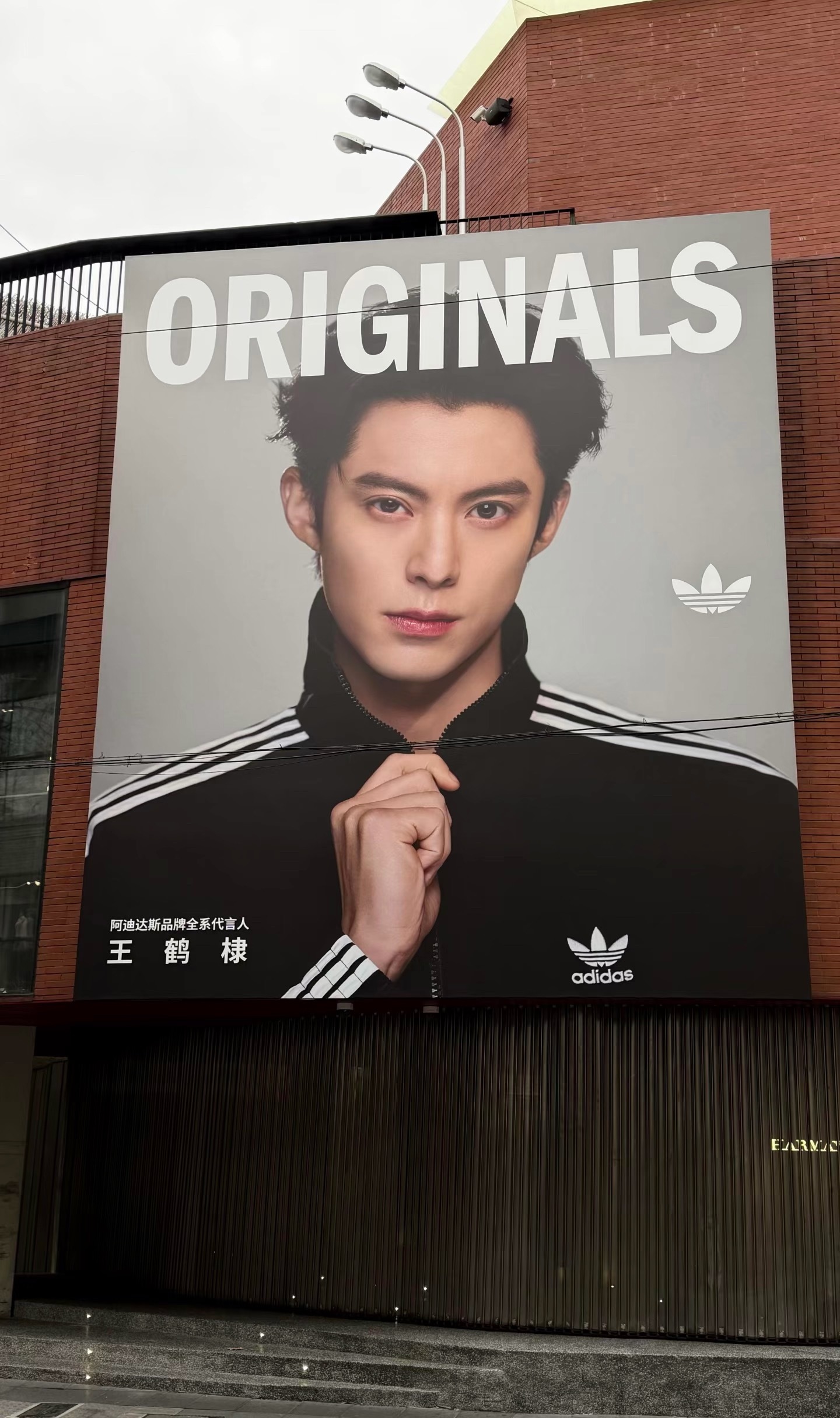 王鹤棣阿迪达斯地广已铺 