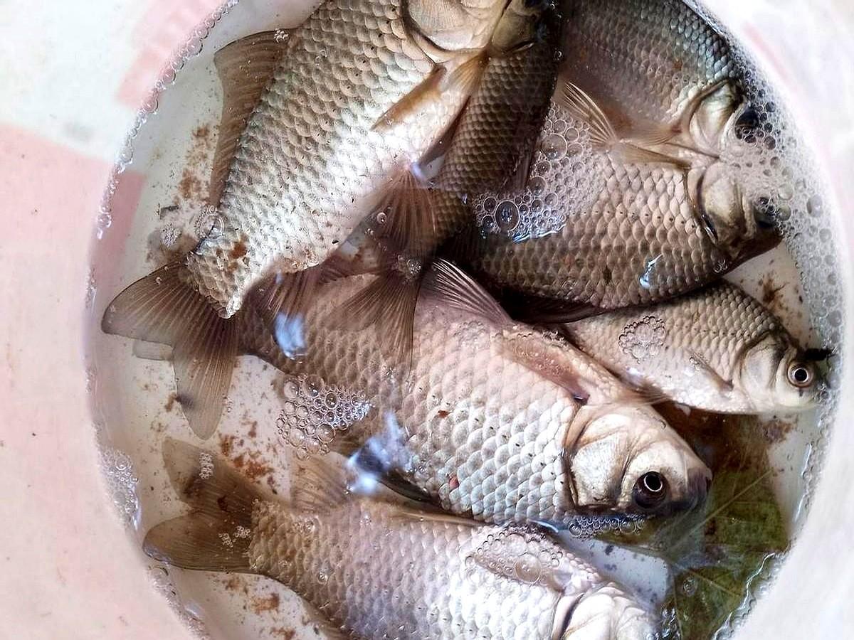 大晴天没口，真别再一个劲儿地换饵料了。

鱼不是不吃，是早就搬家了。太阳晒几小时