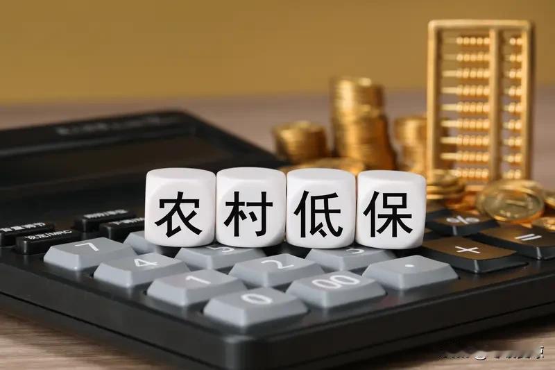农村养老金是乡村晚年生活的保障之光。截至2024年底，全国5.49亿城乡居民基本