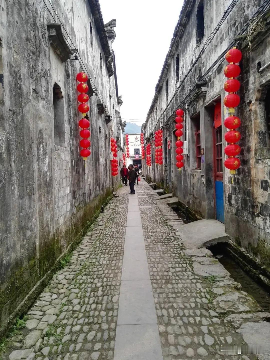 看到网友杨老师分享的早睡早起，持续打卡每天4点半起床五年，成就高能人生，并获得健