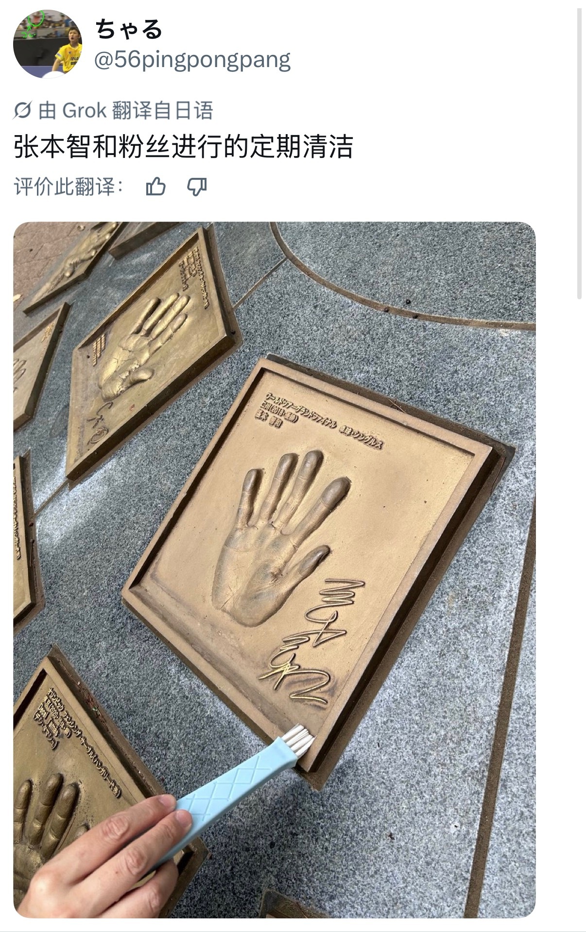 学习爱护小柴