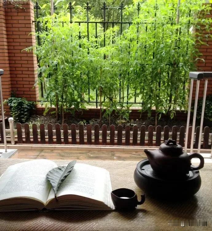 《无题》

寿命长的人，从来不是特别健壮的人；当大官的人，从来不是特别能干的人；
