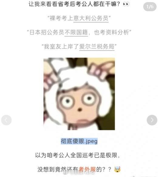中国男子谈在加拿大考公上岸经验领导非常客气，给你吩咐个啥任务，张口就“pleas