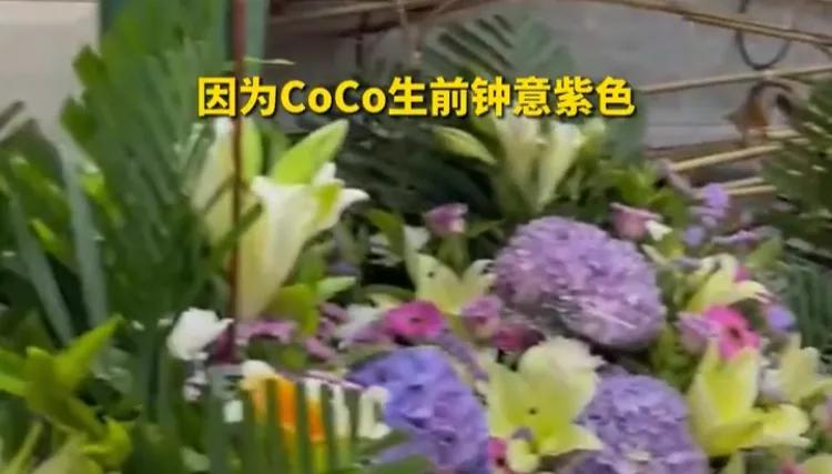 我虽然不追星，但是对李玟的陨落很难过愿COCO下辈子，有个慈爱的爸爸，有个爱她的