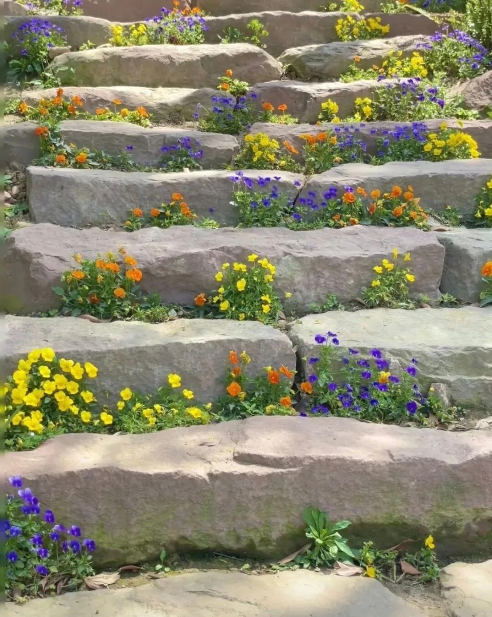  风很温柔，花很浪漫，平凡的日子也在慢慢发光。 