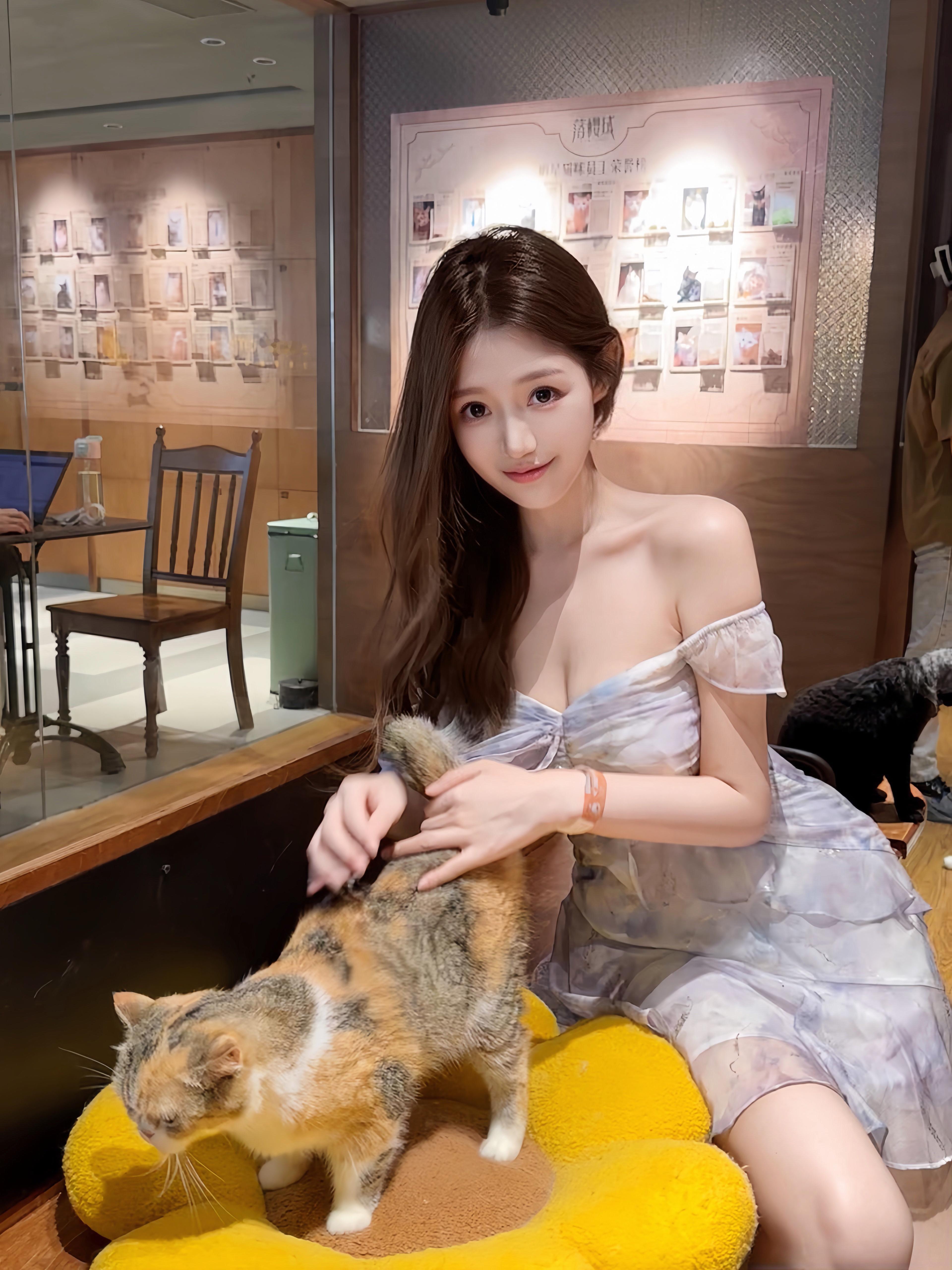 忙完之后摸了二三十只猫😬  ​​​