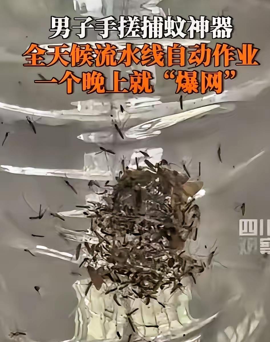 福建，一男子被村里的蚊子叮的不胜其烦，于是灵机一动，靠着风扇加紫光灯，自制一个捕
