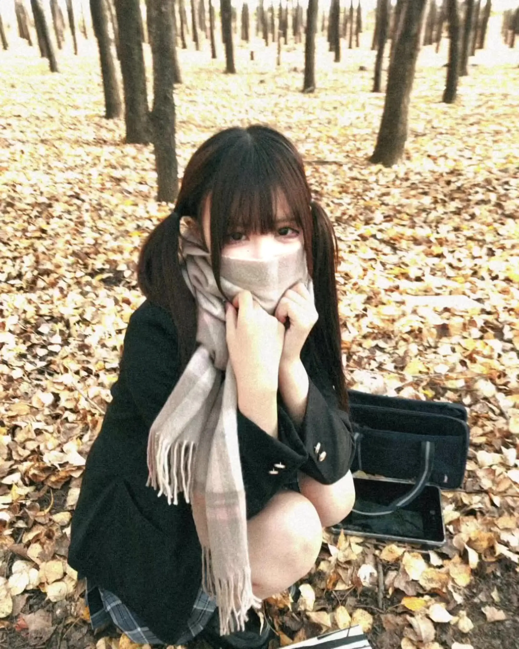 随后 便是你最爱的秋天