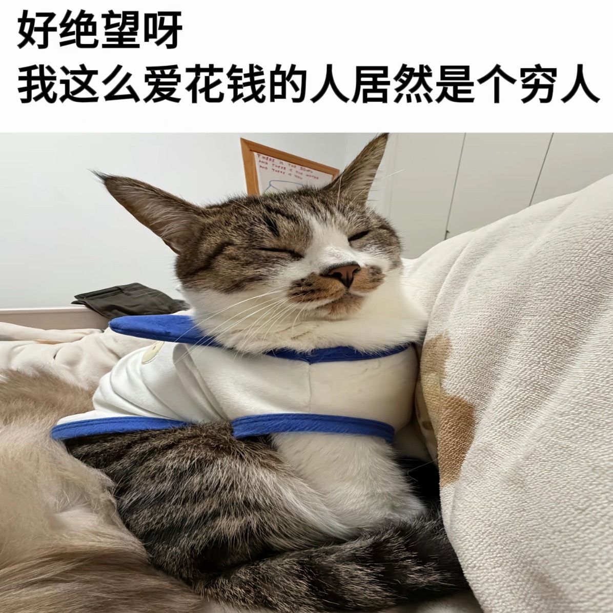 好绝望 