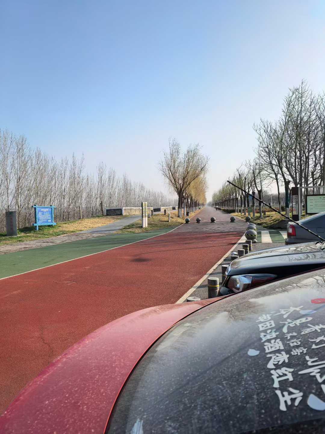 春天了，万物复苏的季节，动起来。