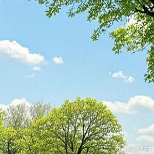 阳光信用  向阳而生，逐光而行。不困于过往，不惑于前路。把每一步都走成向上的力量