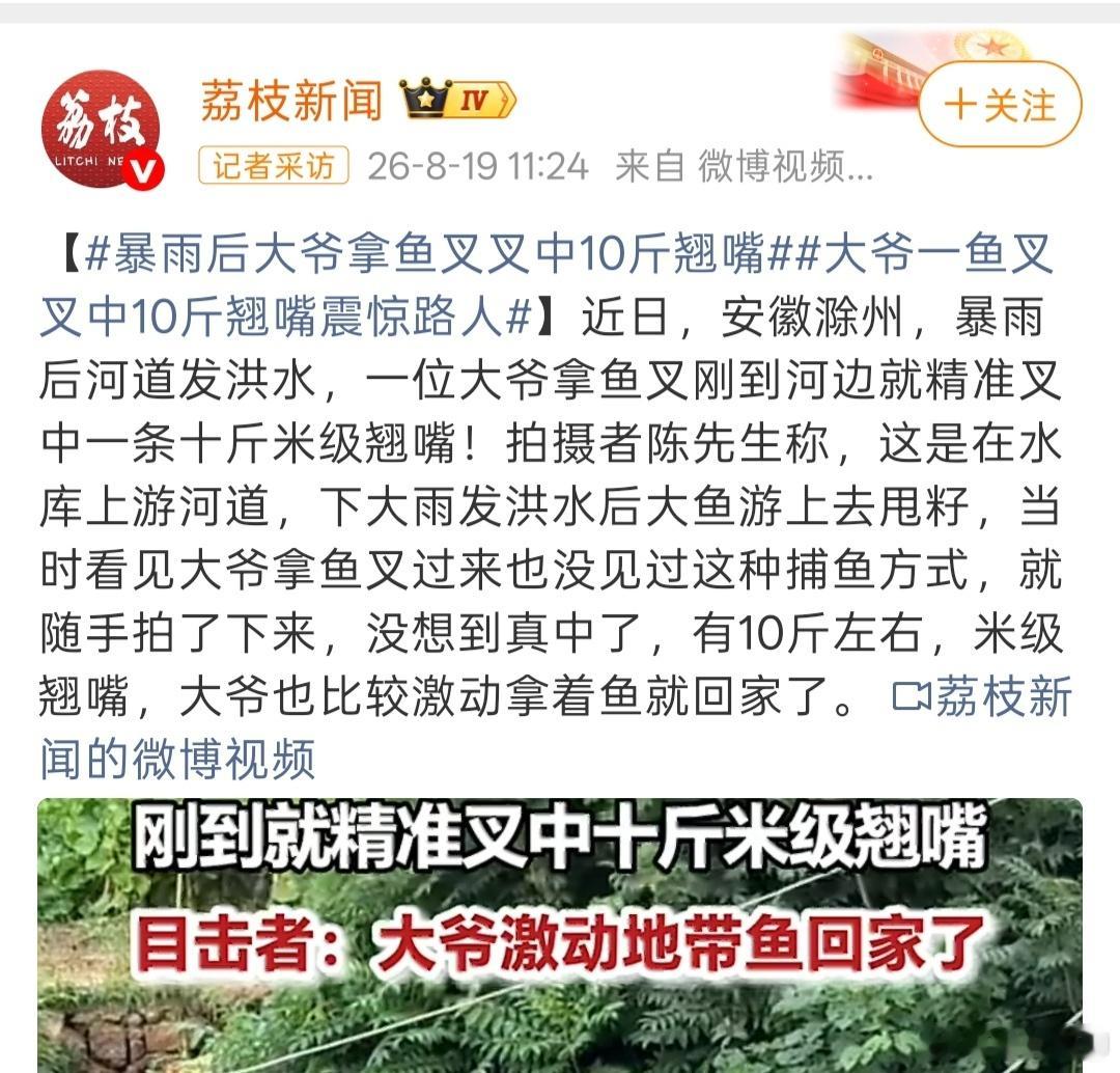 暴雨过后尽量不吃水族动物，细菌残留很多的 