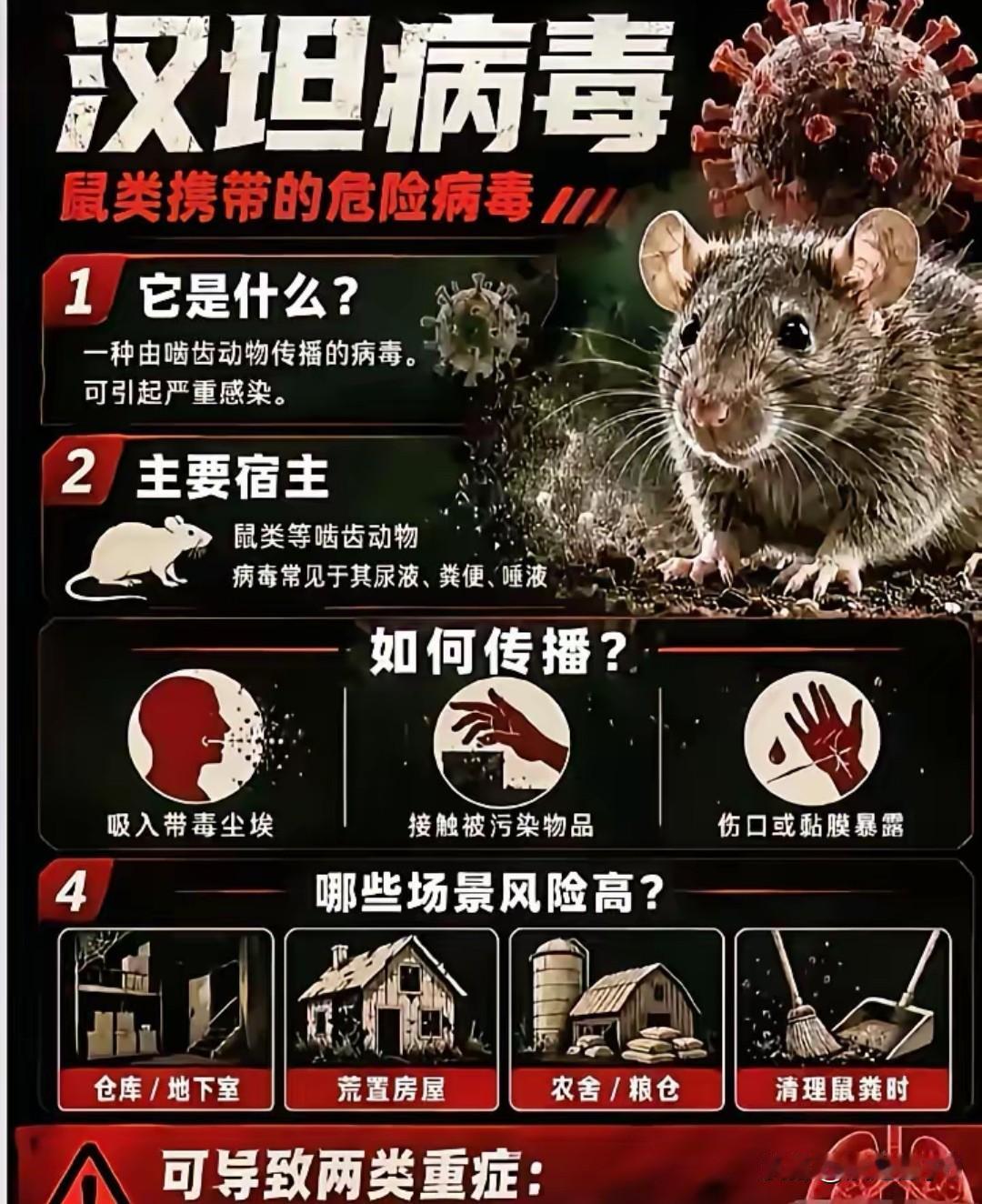 中国游客完美错过病毒，西方甩锅剧本彻底翻车
 
2026年春洪迪厄斯号邮轮暴发汉