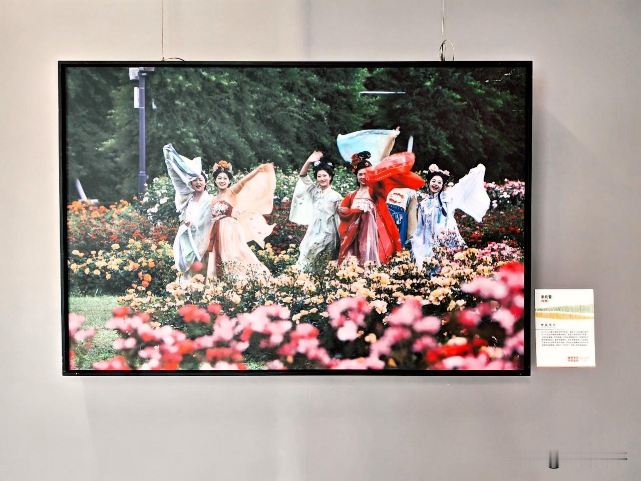 “奋勇争先中原出彩”摄影大展(三）